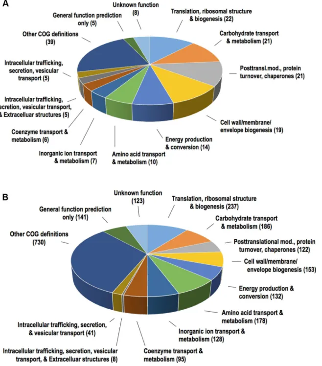Fig 3. Functional classification of A. actinomycetemcomitans strain 173 OMV proteins. The 151 OMV proteins that were identified by LC-MS/MS in three out of four of the vesicle preparations were sorted according their COG groups as indicated