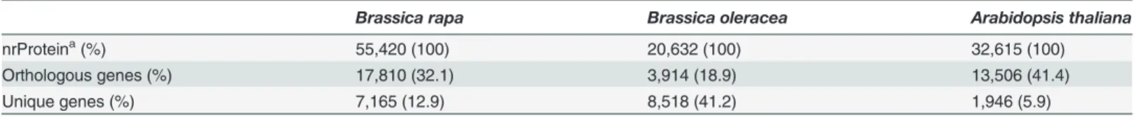 Table 3. Orthologous and unique genes between Brassica oleracea and SNP markers based on the Brassica rapa genome.