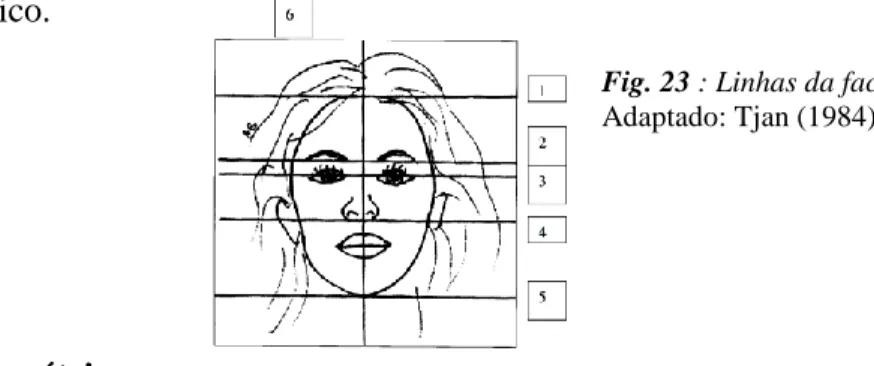 Fig. 23 : Linhas da face. 