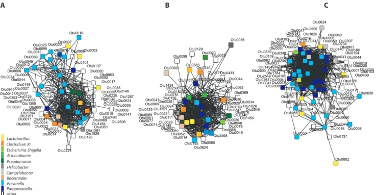 Figure 3. Correlation networks for the microbial communities at the mucosa of (A) the Pars non-glandularis of the stomach, (B) the ileum and (C) the colon