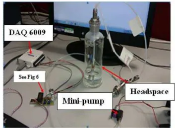 Fig. 5:  Experimental set-up for testing response to ethanol vapour 