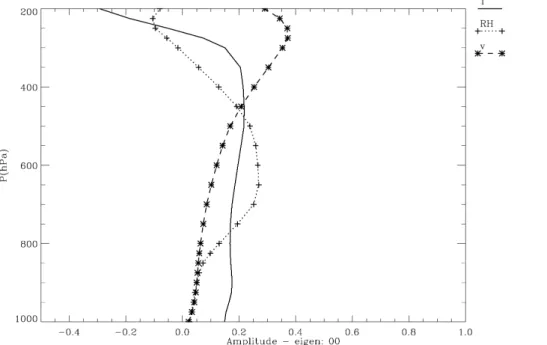 Fig. 2. Leading eigenvector of the meridional wind component (v), temperature (T ), and relative humidity (RH)