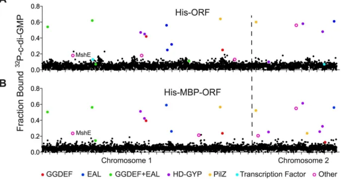 Fig 1. Primary DRaCALA screen of Vibrio cholerae ORF libraries. Average fraction bound 32 P-c-di-GMP vs