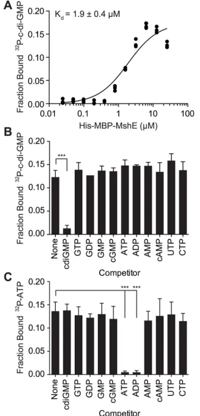Fig 2. C-di-GMP bind to MshE ATPase with high affinity, specificity and independently of ATP