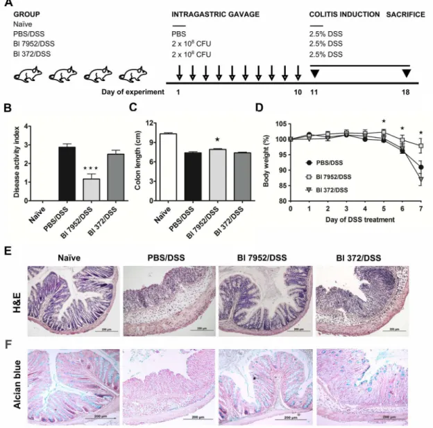 Fig 3. Impact of Bl 7952 and Bl 372 on DSS-induced colitis. (A) Mice were treated with Bl 7952 (n = 10), with Bl 372 (n = 8) or with PBS (n = 10) on ten consecutive days