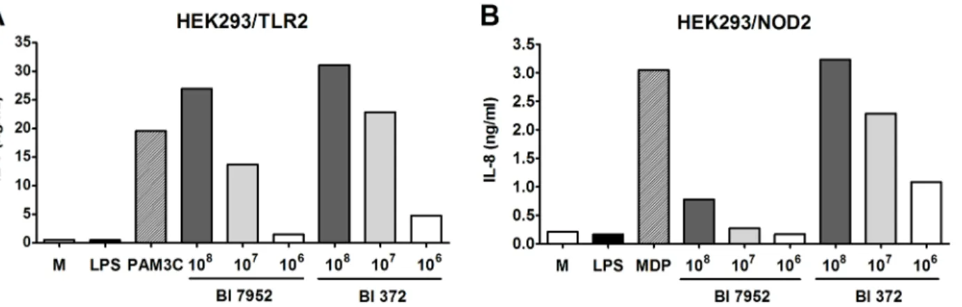 Fig 2. Activation of TLR2 and NOD2 by Bl 7952 and Bl 372. Human embryonic kidney cells (HEK293) stably transfected with an expression vector for human TLR2 (293-hTLR2/CD14) or with NOD2 (293-hNOD2) were stimulated with formalin-inactivated Bl 7952 or Bl 37