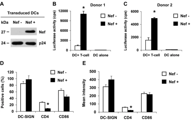 Figure 1. HIV-1 Nef enhances DC-mediated HIV-1 transmission to Hut/CCR5 T cells and modulates CD4 expression of DCs