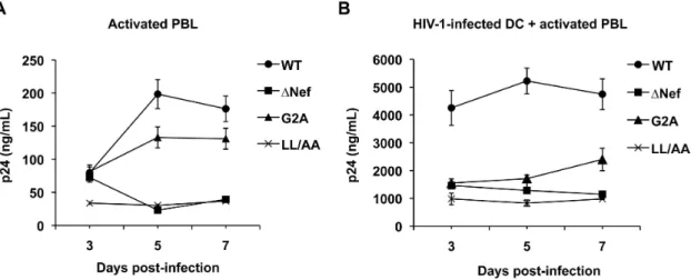 Figure 4. HIV-1 Nef activates primary resting CD4 + T cells, resulting in increased T-cell proliferation and viral infection