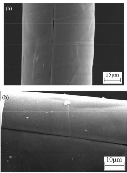 Fig. 1 Cracks paralleled or vertical to the fiber axis 