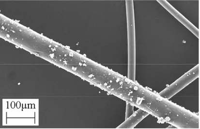 Fig. 6 Wet gel fibers were stuck by some alumina powders and the structure was kept after  calcinations 