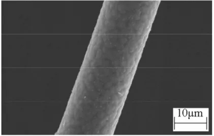 Fig. 8 Fiber surface with many crystals due to the long holding time 