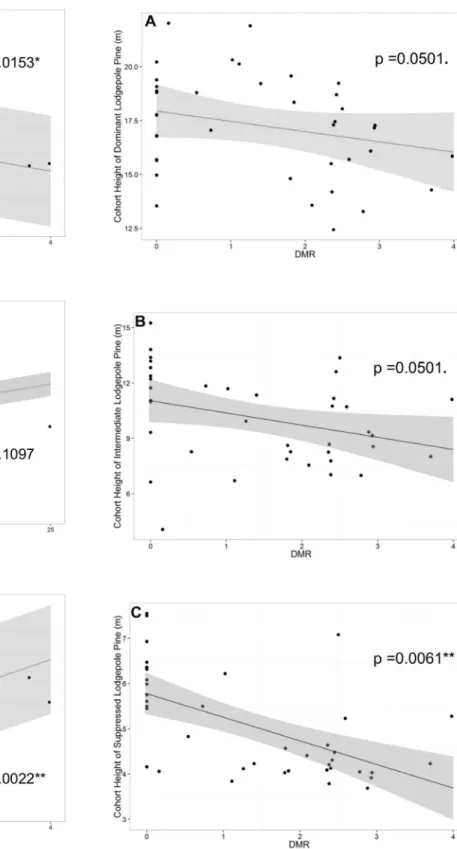 Figure 5. Linear mixed models of cohort height on dwarf mistletoe rating. Scatterplots of linear mixed models of A) cohort height of dominant lodgepole pine (m) with stand density fixed at its mean, B) cohort height of intermediate lodgepole pine (m), and 