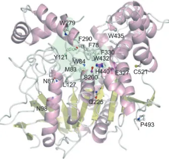 Figure 2 shows an outline of the dataset construction. From the UniProtKB/Swiss-Prot database [39] (release 2010_06), we selected the enzyme sequences that: i) had been annotated with complete four-digit EC numbers, ii) were not fragment sequences and iii)