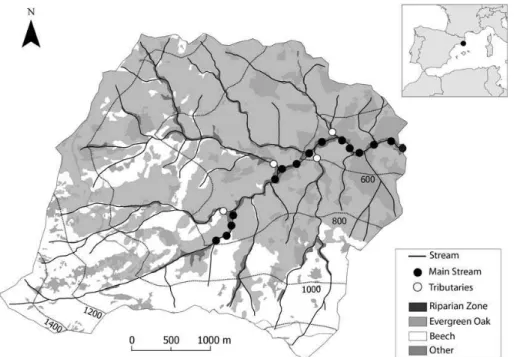 Figure 1. Map of the Font del Regàs catchment within the Montseny Natural Park (NE, Spain).