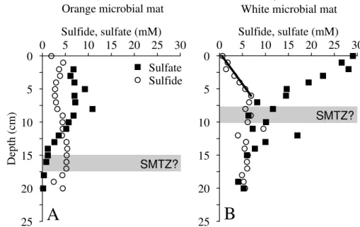 Fig. 4. Pore water profiles of sulfide and sulfate of PCs obtained for Flare 1, site GeoB 12320.