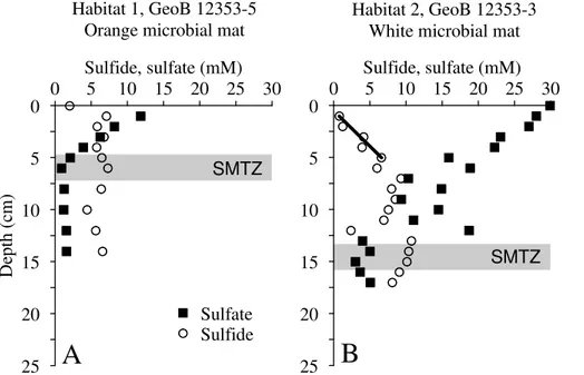 Fig. 5. Pore water profiles of sulfide and sulfate of PCs obtained for Flare 15, site GeoB 12353.
