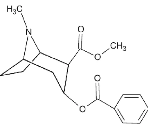 Figura 1: Estrutura química da cocaína. 
