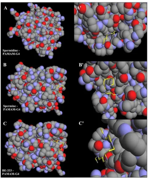 Figure 9. Optimized polyamine-PAMAM-G4 docking structures. The polyamines are shown in yellow color