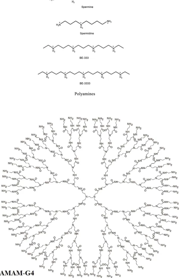 Figure 1. Chemical structures of polyamines and PAMAM-G4 dendrimer.
