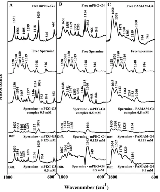 Figure 2. FTIR spectra and difference spectra (diff.) in the region of 1800-600 cm 21 of hydrated films (pH 7.4) for free mPEG- mPEG-PAMAM-G3 (A), mPEG-PAMAM-G4 (B) PAMAM-G4 (C) (0.5 mM) and their spermine complexes obtained at different spermine concentra