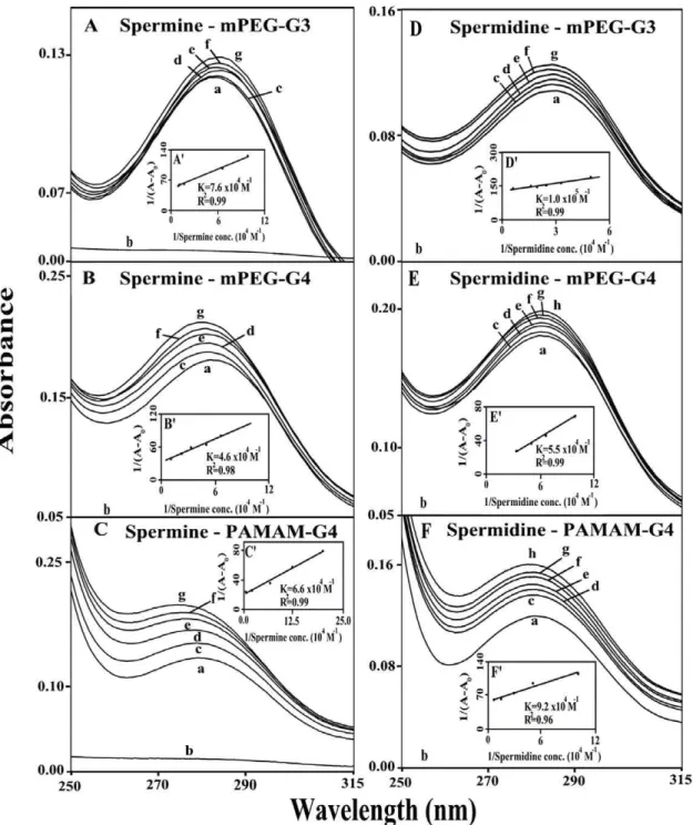 Figure 7. UV-visible spectra of mPEG-PAMAM-G3, mPEG-PAMAM-G4 and PAMAM-G4 and their complexes with spermine and spermidine with free dendrimer at 100 mM and complexes c-g at 5, 10, 20, 40 and 80 mM