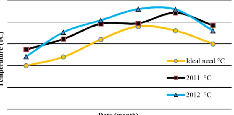 Table 3 Effect of biological preparations on selected sunflower yield forming elements 