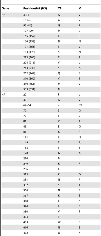 Table 2. Amino acid differences between avian influenza H9N2 TS and V viruses Amino acid differences of surface proteins between avian influenza H9N2 TS and V viruses.