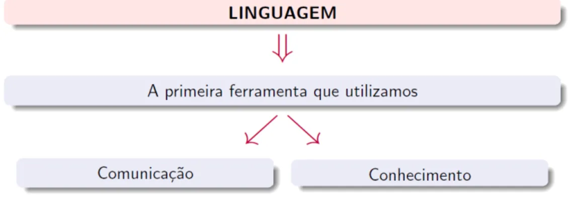 Figura 1.9: Linguagem