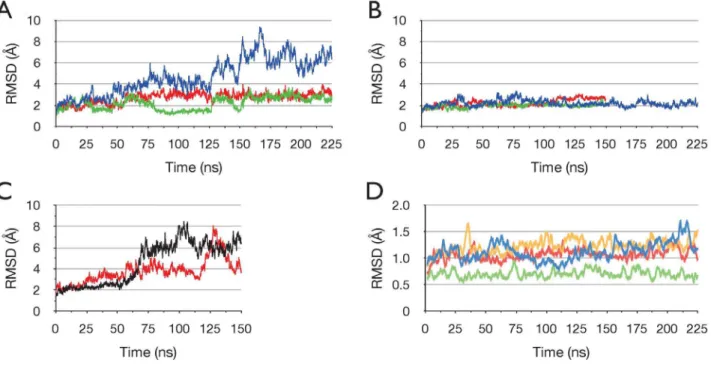 Figure 2C shows, in contrast, that in the two separate 150 ns runs of the ADP+Pi/apo state, relatively large changes in RMSD occurred, as in run ADPPi-1.