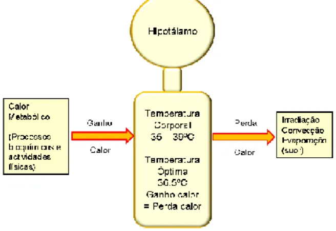 Figura 2 - Principais formas de transferência de calor entre o corpo humano e o ambiente 