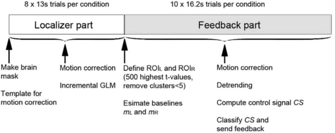 Figure 1. Timeline of the experiment. The localizer and feedback data are acquired in the same fMRI run.