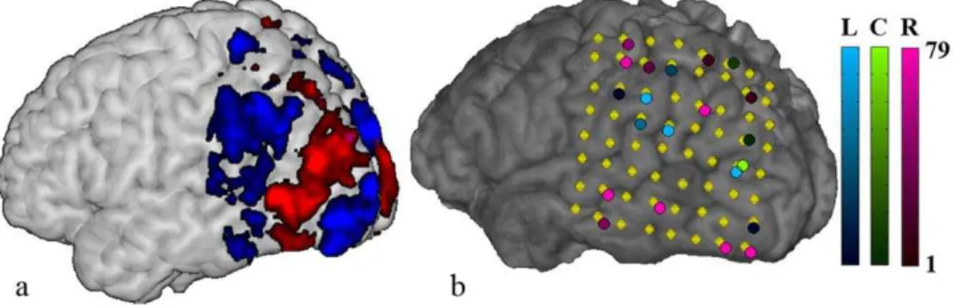 Figure 10. ECoG electrode selections. (a) The fMRI group activation pattern (t w 1:5, red: ’right-left’, blue: ’left-right’)