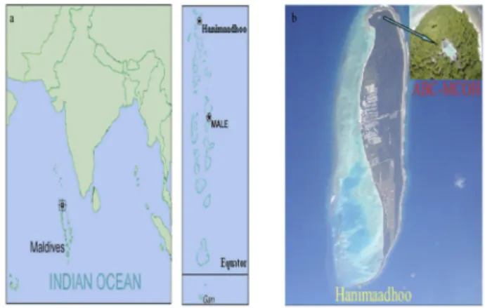 Fig. 1. Location of the Maldives Climate Observatory at Hanimaad- Hanimaad-hoo (MCOH).