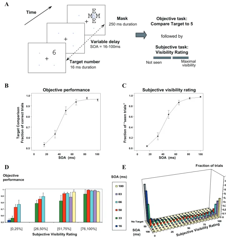 Figure 2. Experimental Protocol and Behavioral Results Collected during ERP Recording