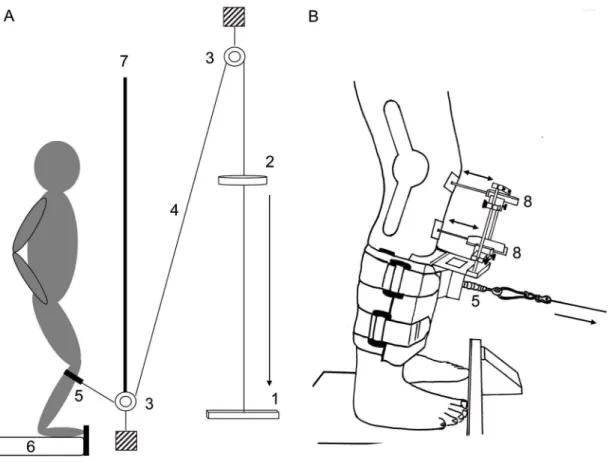 Figure 1. Schematic drawing of the experimental setup. A: Experimental setup, B: Measurement system | 1: stopper, 2: falling weight, 3: pulley, 4: steel rope, 5: force transducer, 6: force plate, 7: visual cover, 8: linear potentiometer