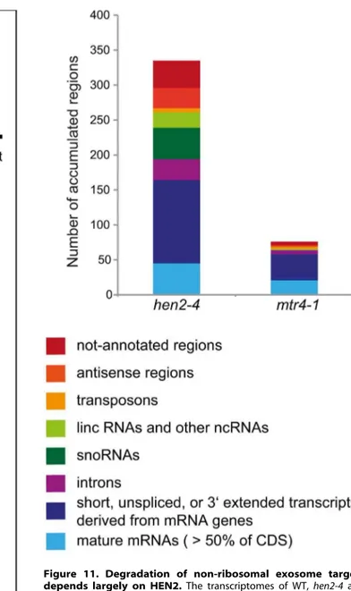 Figure 11. Degradation of non-ribosomal exosome targets depends largely on HEN2. The transcriptomes of WT, hen2-4 and mtr4-1 plants were compared by whole genome microarrays