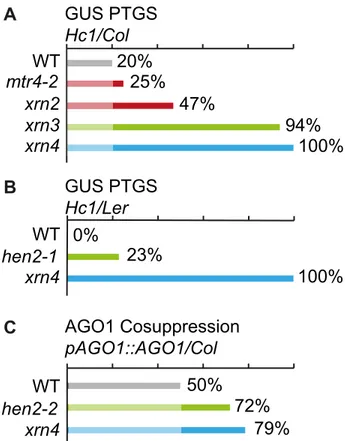 Figure 12. Effect of mtr4 and hen2 mutations on posttranscrip- posttranscrip-tional silencing