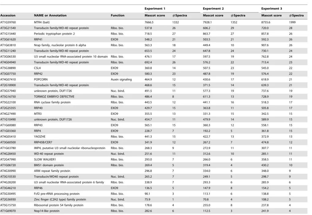 Table 2. Proteins co-purified with MTR4-GFP and identified by LC-MS/MS.