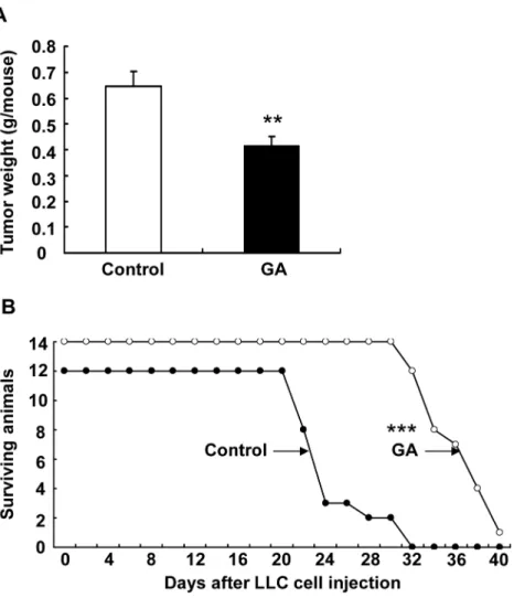 Fig 4. 11βHSD2 inhibition suppressed lung tumorigenesis. A. LLC tumor growth was significantly attenuated by 11βHSD2 inhibition with GA ( ** P &lt; 0.01, n = 8 in each group)