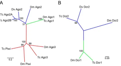 Figure 3. Effect of dsRNA dose on feeding RNAi efficiency. (A) wild-type, (B) KA dsRNA, (C–F) lac2 RNAi with various doses of dsRNA, (G–J) ebony RNAi with various doses of dsRNA
