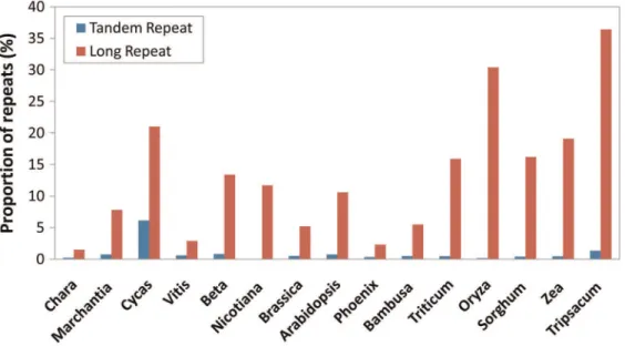 Figure 5. Percentage of long repeats and tandem repeats of 15 mt genomes. We analyzed long repeats (repeat unit .50 bp) using REPuter [63] and tandem repeats based on Tandem Repeat Finder [64] (see Materials and Methods for details)