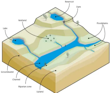 Figure 3. Scheme of the flows of water and nutrients, and retention processes within a grid cell.