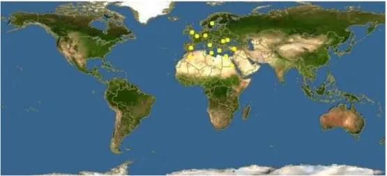 Figure 10 - Distribution of the European seabass. [Source: Fishbase, 2017] 