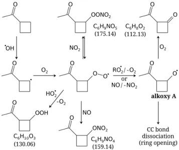 Table 2. Reaction rate constants for hydrogen atom abstraction from cyclobutyl methyl ketone (CMK) by a hydroxyl radical (  OH)