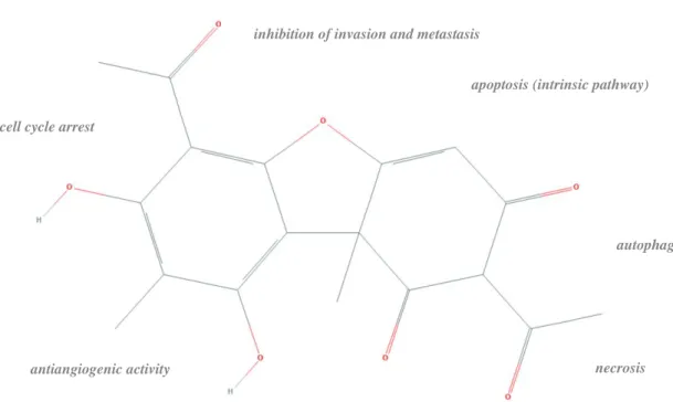 Figure 5. Structure of usnic acid and respective mechanisms of anticancer activity. 