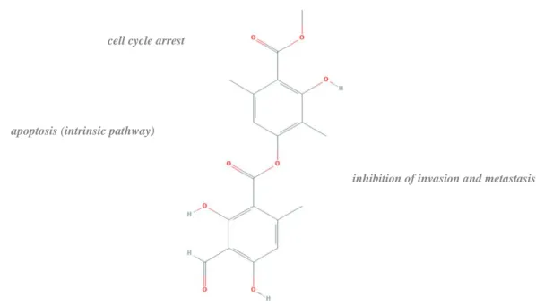 Figure 6. Structure of atranorin and respective mechanisms of anticancer activity. Image  source: PubChem