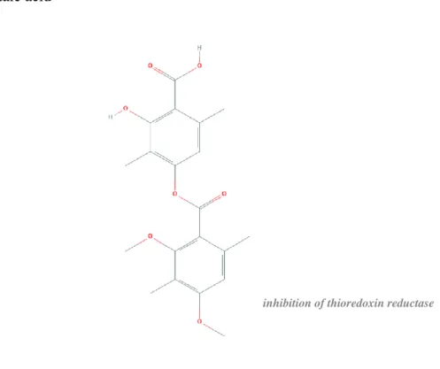 Figure 9. Structure of diffractaic acid and respective mechanisms of anticancer activity