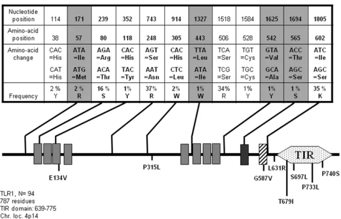 Figure 1. Schematic representation of TLR1 and position and frequency of Single Nucleotide Polymorphisms (SNPs)