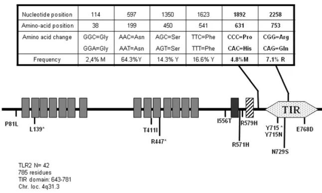 Figure 2. Schematic representation of TLR2 and position and frequency of Single Nucleotide Polymorphisms (SNPs)