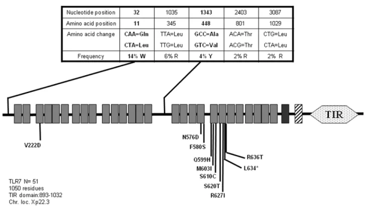 Table S1) with a combined frequency of 70.24%. In agreement with others [49], our data indicate that Asn (N) residue at position 248 rather represents the normal form of TLR1 and its replacement by a Ser (S) identifies a variant form